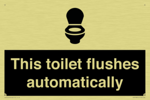 This toilet flushes automatically